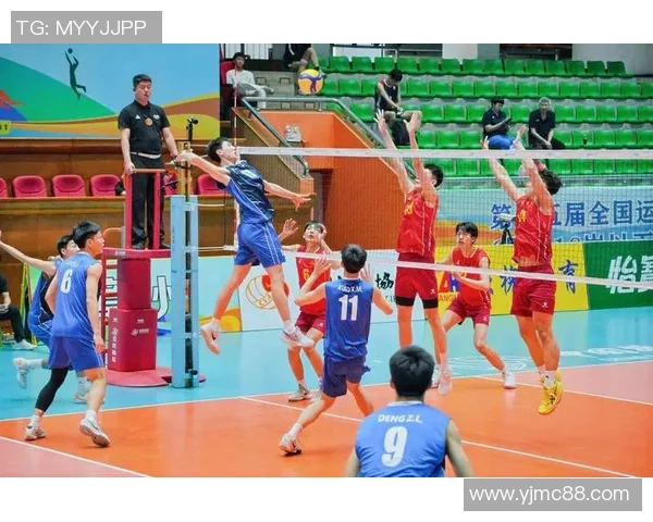 重庆排球队的奋斗历程与荣耀时刻全景纪实