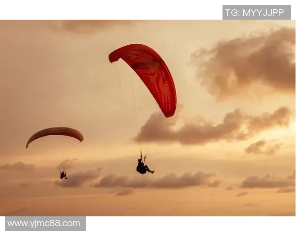 上海极限运动队的意识表现数据分析与提升策略探讨