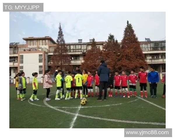 在足球场边看巴士的奇妙旅程与激情碰撞