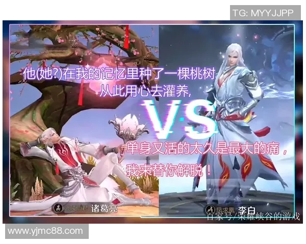 对话赵敏:回顾王者荣耀职业生涯的挑战与成就 对话赵敏:回顾王者荣耀职业生涯的挑战与成就