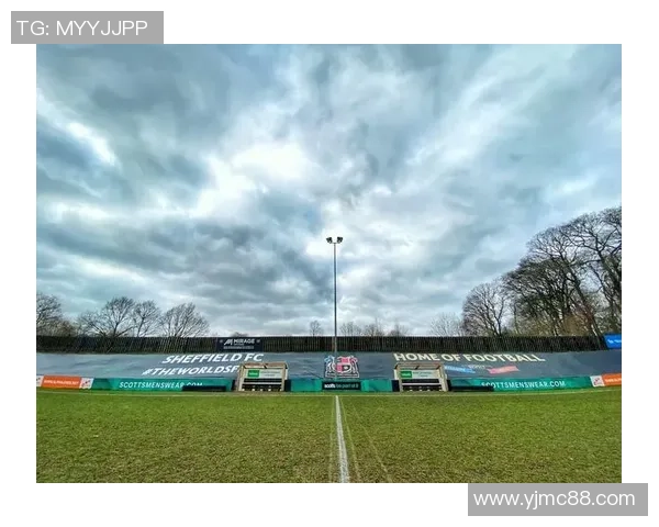 谢菲足球：激情与荣耀交织的绿茵传奇与未来展望