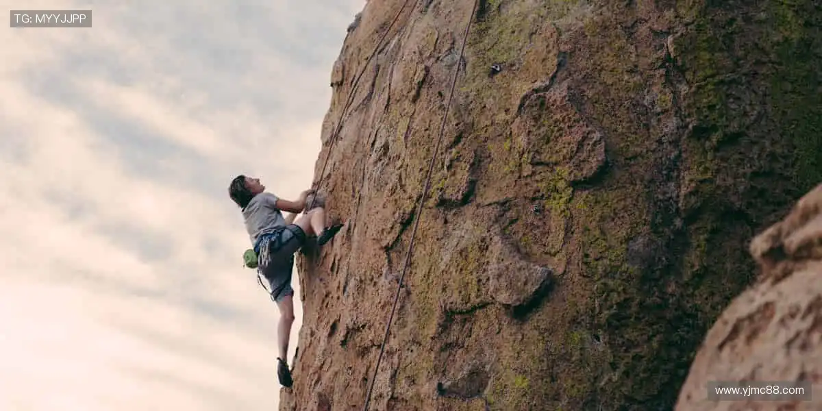 🏀激情赛场，见证冠军诞生时刻！